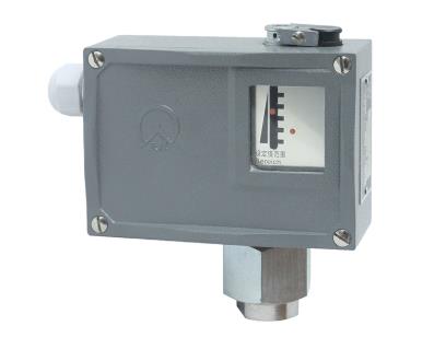 壓力開關(guān)和差壓開關(guān)的區(qū)別是什么