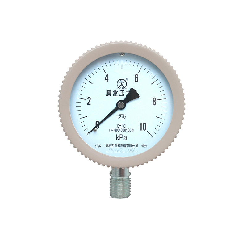 YE膜盒壓力表