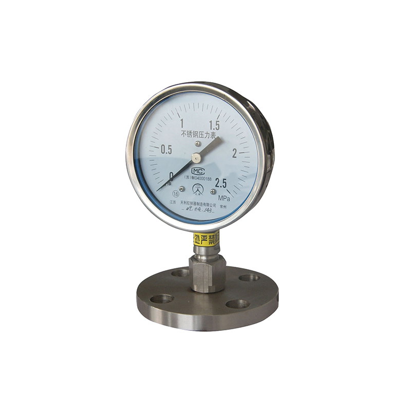 YPF系列膜片壓力表