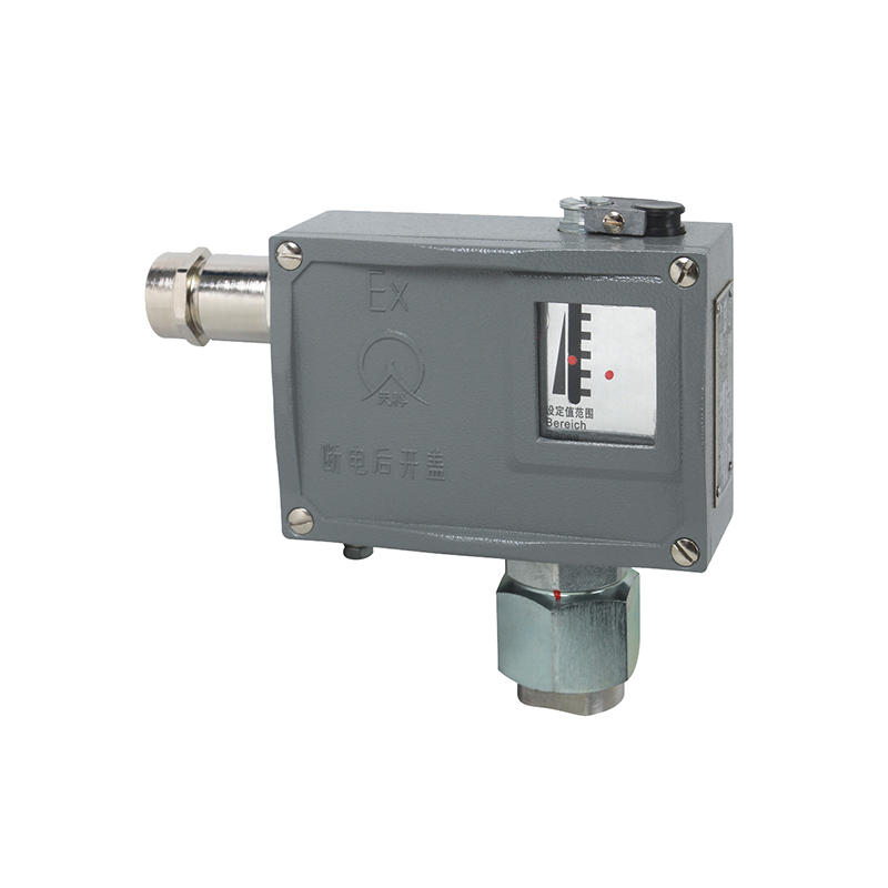 501/7D防爆型壓力開(kāi)關(guān)/壓力控制器