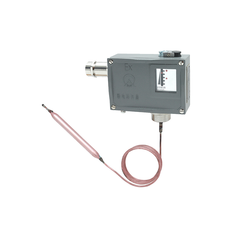 541/7T防爆壓力開關(guān)/防爆溫度控制器